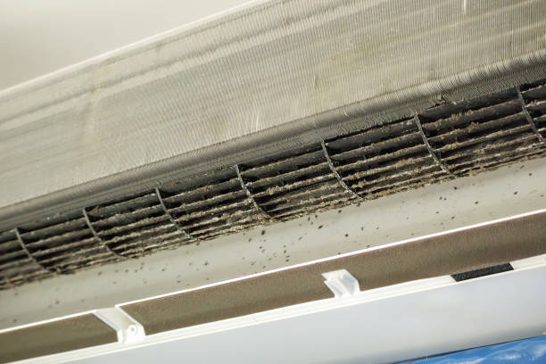 Best Air Duct Cleaning Near Me  in Parkland, WA